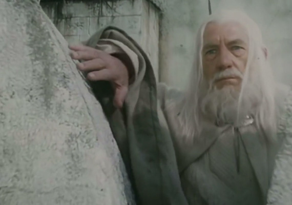 Lorem ipsum dolor sit amet, consectetur adipiscing elit. Phasellus quis elementum odio. Curabitur pellentesque, dolor vel pharetra mollis.